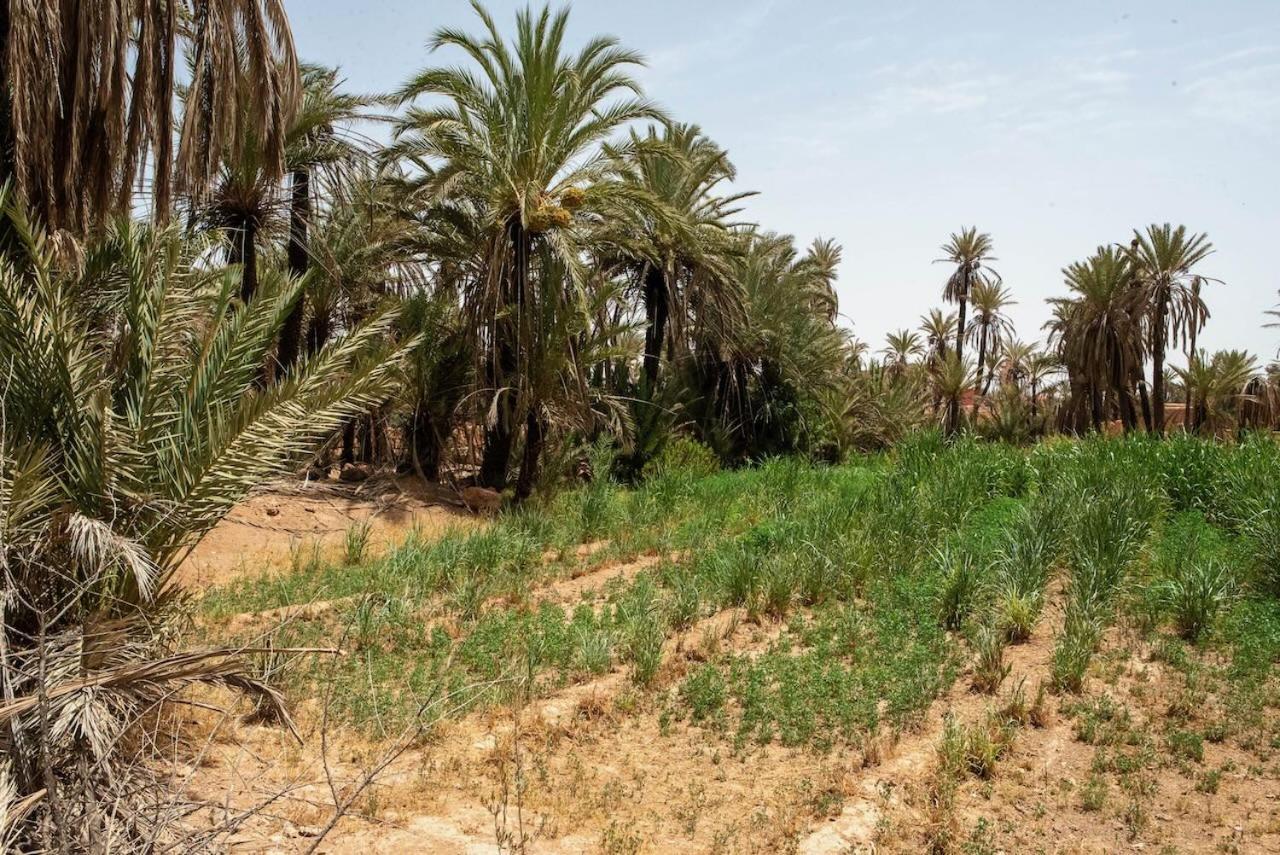 Maison Etoile Du Desert Aït Boukha Exterior foto