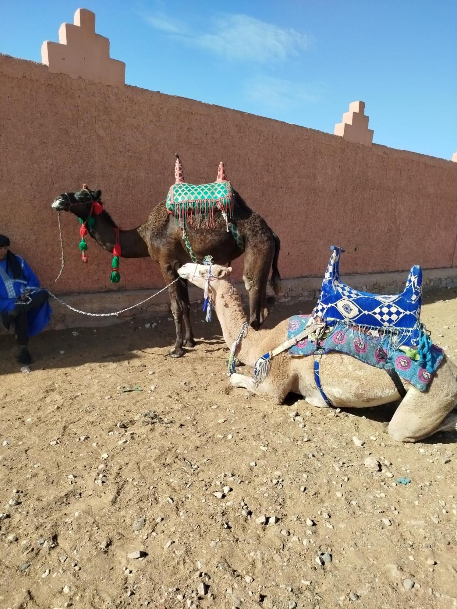 Maison Etoile Du Desert Aït Boukha Exterior foto